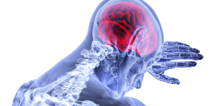 brain-3168269_1920